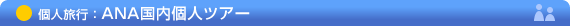 ANA�����l�c�A�[