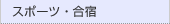 �X�|�[�c�E���h