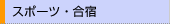 �X�|�[�c�E���h